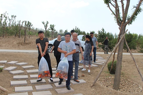 包頭殯儀服務(wù) 包頭殯儀服務(wù)