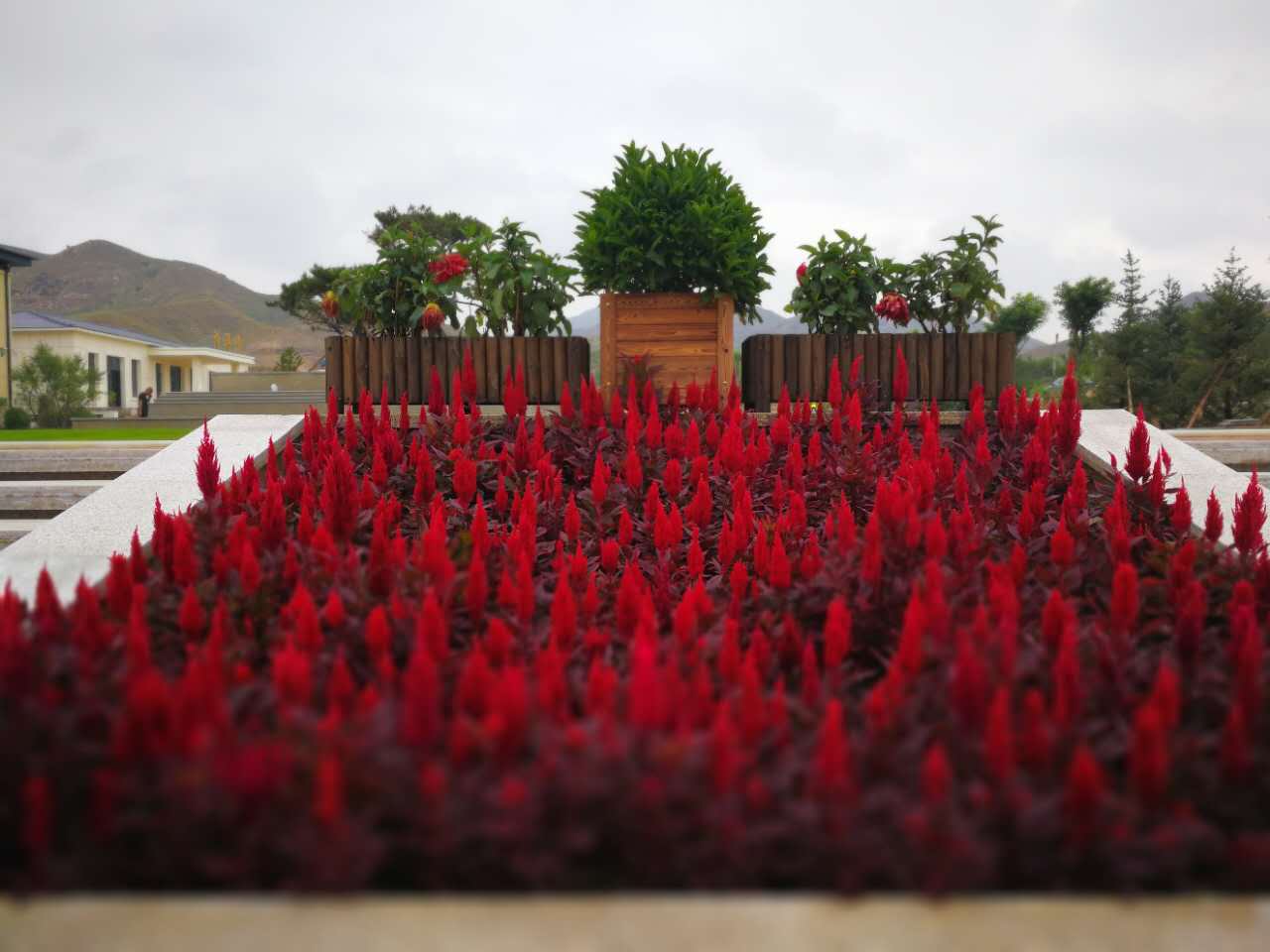 包頭殯儀服務(wù) 包頭殯儀服務(wù)