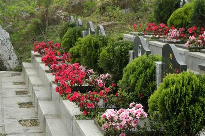 墓地風水五要素 墓地風水五要素